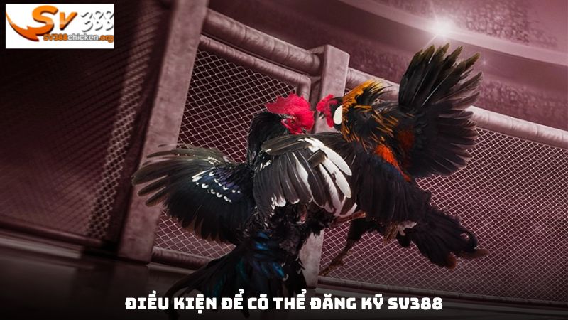 Điều kiện để có thể đăng ký SV388