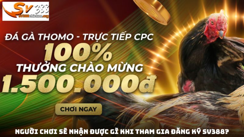 Người chơi sẽ nhận được gì khi tham gia đăng ký SV388